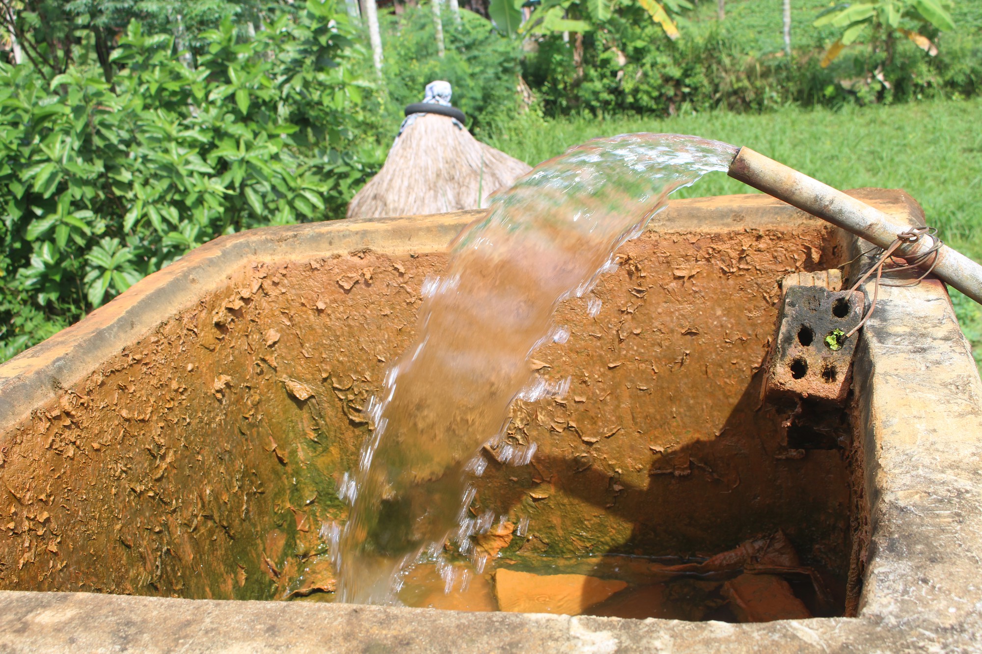 Hàng trăm hộ dân dùng nước nhiễm phèn vàng như nghệ - Ảnh 1.